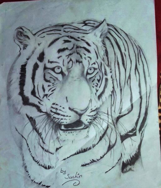 പ്രമാണം:44050 2022 61.jpeg