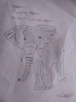 45353-KTM KUNJ-RAYJUL .jpg