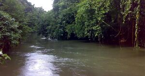 47119 PUNUR PUZHA.jpg