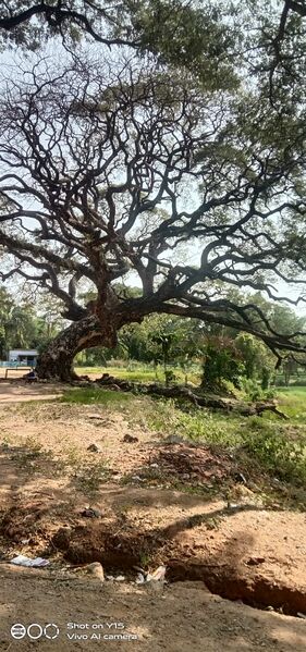 പ്രമാണം:Chittur village.....jpeg