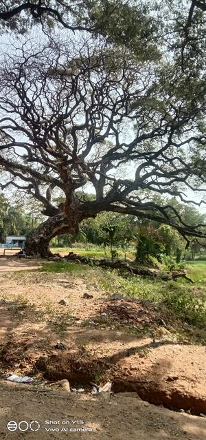 Chittur village.....jpeg