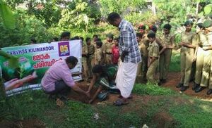 Environment june 5.jpg