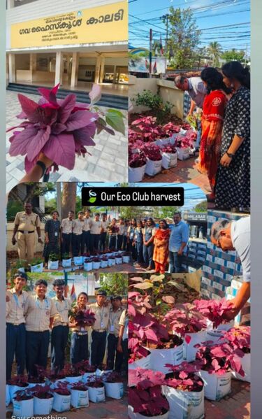 പ്രമാണം:Farming 43073.jpg