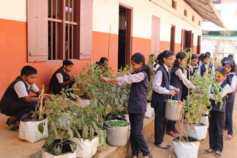 പ്രമാണം:Veg6young farmers in vegetable gardon.JPG