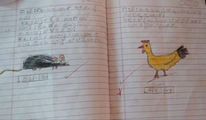 11458-KGD-KUNJ-SHREEYA 1C.jpg