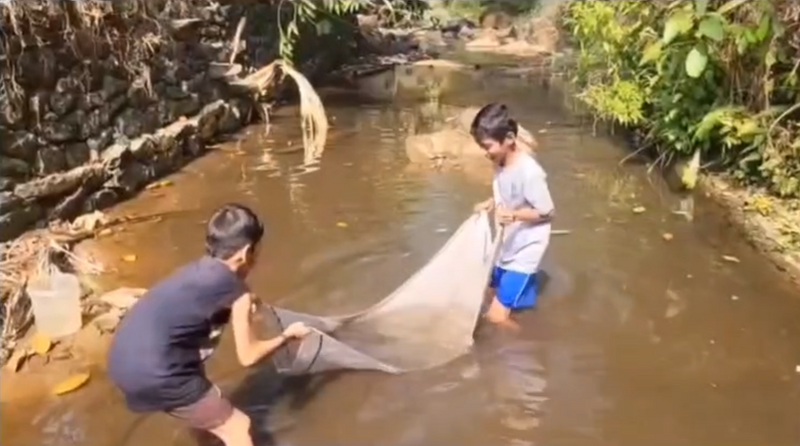 പ്രമാണം:29228 mee.png