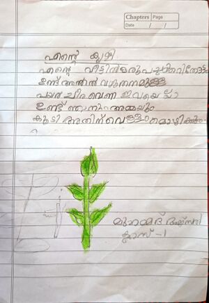 29411-IDK-KUNJU-MUHAMMED AJSAL P S.jpg