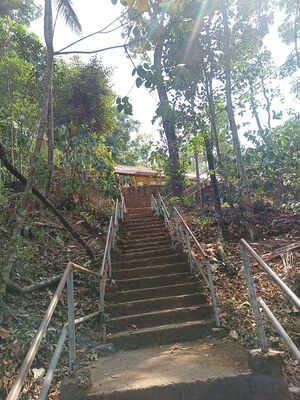 30230 103236683.resized.resized.jpg