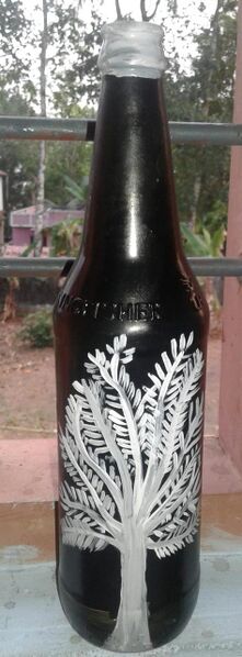 പ്രമാണം:33056 abhishek b1.jpeg