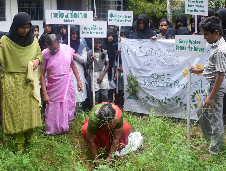 പ്രമാണം:34343NA8 N.jpg