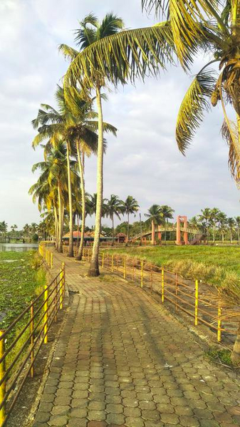 പ്രമാണം:Kadarayar .png