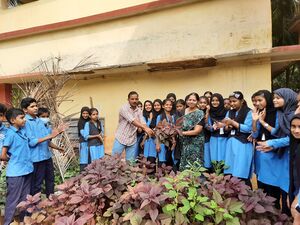 11453 seed veg1.jpeg