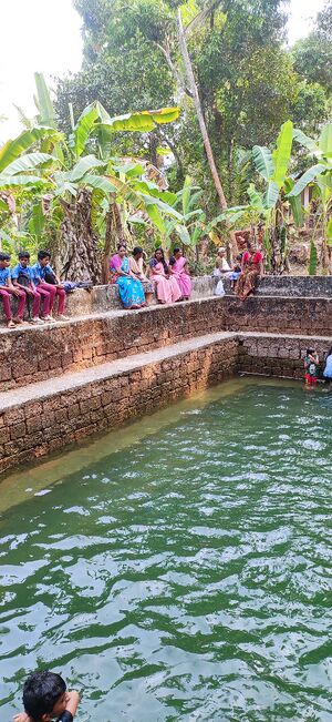 14857 Ente gramam pond.jpg