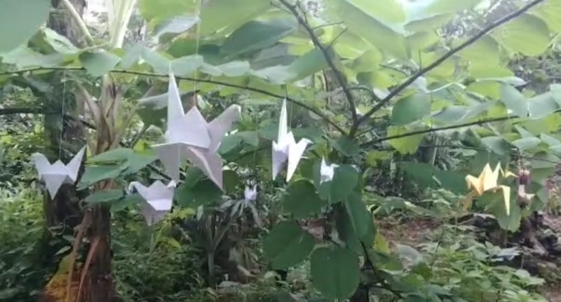 പ്രമാണം:15051 hiirroo.png