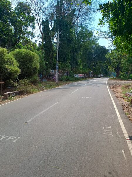 പ്രമാണം:22058 peechi road.jpeg