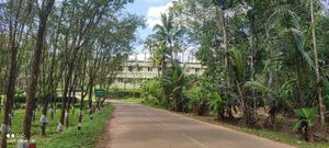 29020-natural beauty.jpeg