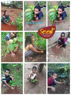 29312 seedonline5.jpeg