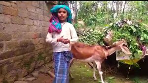 29312 vidyarangam7.jpg