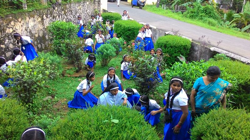 പ്രമാണം:31074Octo 2.jpg