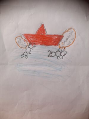 31426-KTM-KUNJ-AIDEN ROBIN.jpg