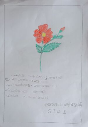 33347-KTM-KUNJ-ALOSHY TONY.jpg