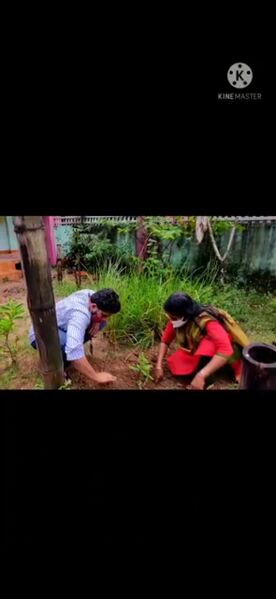പ്രമാണം:34313 pdmn7.jpg