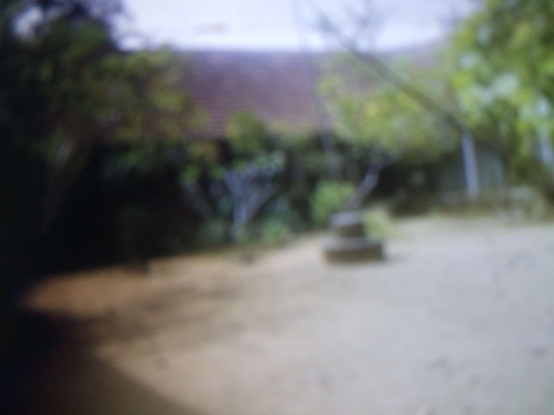 പ്രമാണം:35447 school.jpg