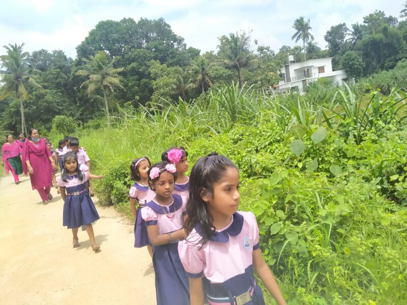 പ്രമാണം:39055 23 nature (3).jpeg