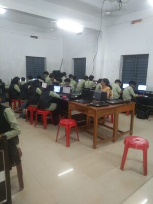 48041 little kites.jpeg