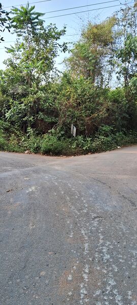 പ്രമാണം:48136-road.jpg
