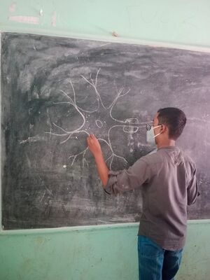 BS21 TSR 24064 4.jpg