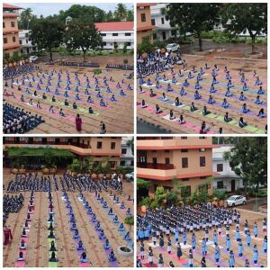 FB IMG 1562861291474.resized.jpg