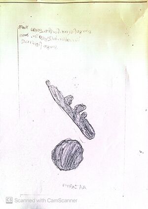 Kunjezhuthukal 18.jpg