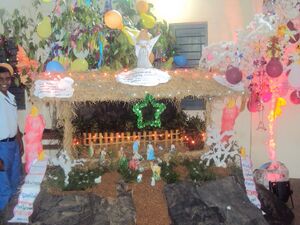 Xmas 14 35052 (7).JPG