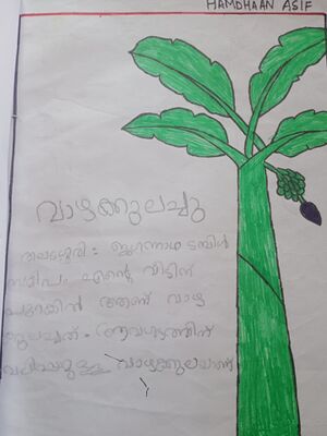 14243-KNR-KUNJ-HAMDHAN ASIF.jpeg