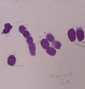 15340-wyd-kunj-Ayush K Rajesh.png