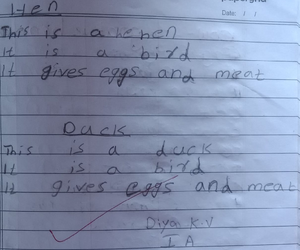 15340-wyd-kunj-Diya KV.png