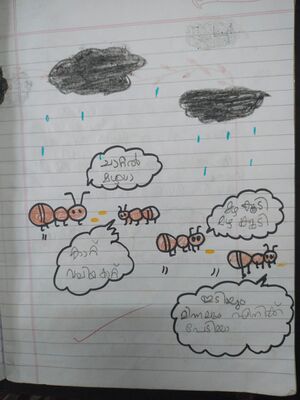 17229-KKD-KUNJ-ARAV .jpeg