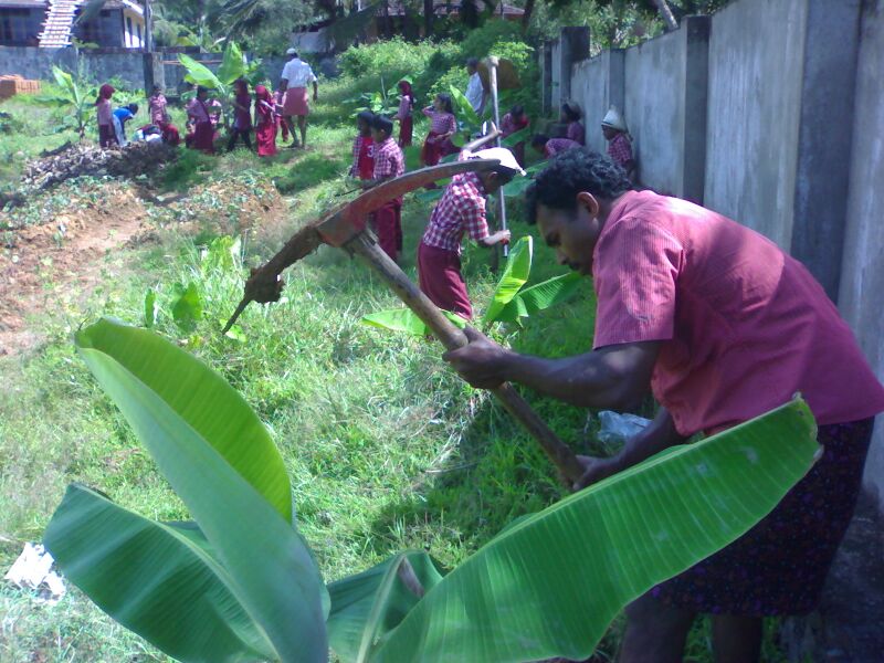 പ്രമാണം:19833 krishi 156.jpg