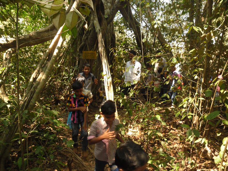 പ്രമാണം:19852-5009 (2).JPG