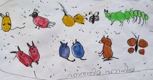 20660-pkd-Fathima haniya.jpeg