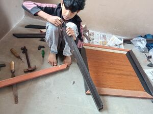 21068 pkd aseel 2.jpg