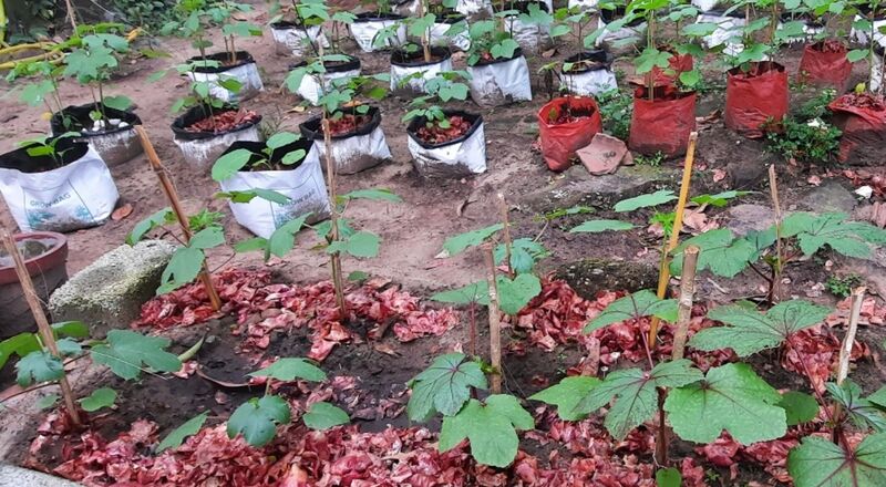 പ്രമാണം:26009 HARITHASENA (2).jpg