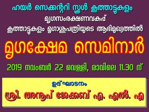 28012 SP 1920 132.jpeg