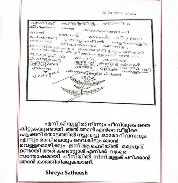 പ്രമാണം:30205-IDK-KUNJ-Shreya Satheesh .jpeg