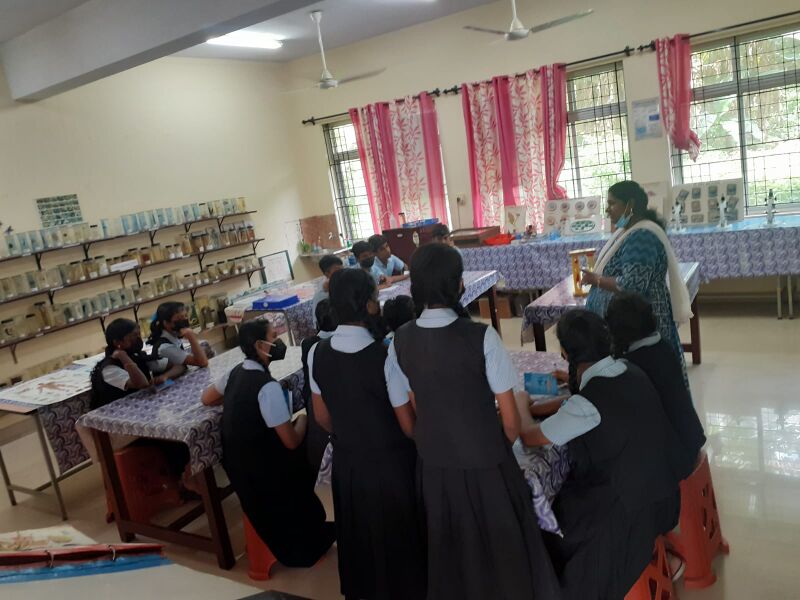 പ്രമാണം:34046 cusat 4.jpg