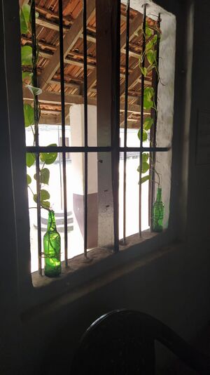 35348 picmanyplant.jpg