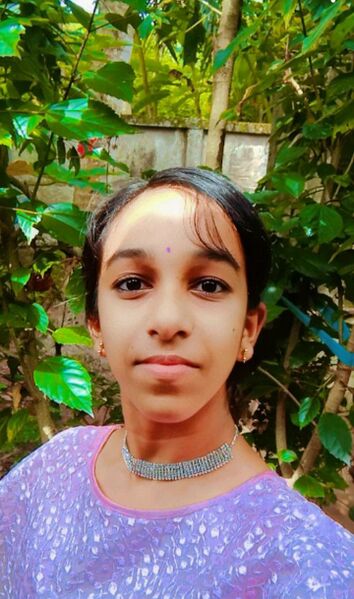 പ്രമാണം:41069 SASTHROLSAVAM.jpeg