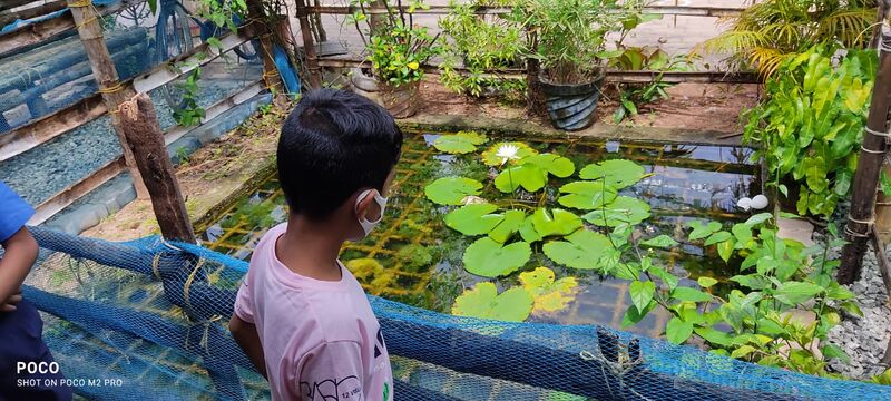 പ്രമാണം:BS21 KLM 41451 1.jpg