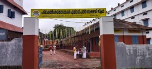 BS21 MLP 18031 1.jpg